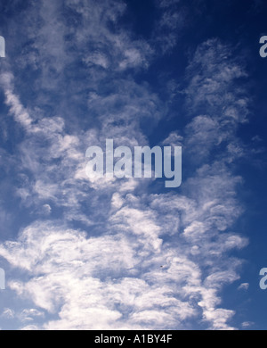 Nuvole bianche contro un cielo blu Foto Stock