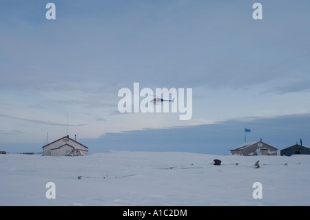 Elicottero di caduta off polar bear biologi sull isola Herschel off la Mackenzie delta del fiume Yukon Territory Canada Foto Stock