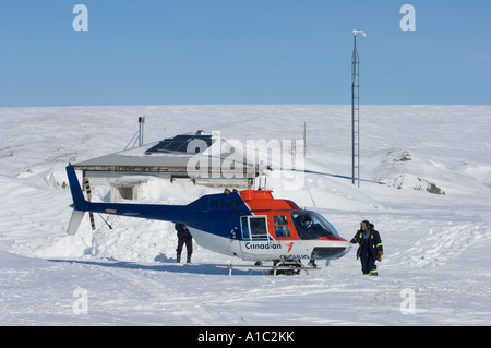 Elicottero di caduta off polar bear biologi sull isola Herschel off la Mackenzie delta del fiume Yukon Territory Canada Foto Stock