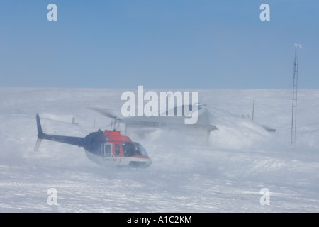 Elicottero di caduta off polar bear biologi sull isola Herschel off la Mackenzie delta del fiume Yukon Territory Canada Foto Stock