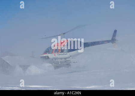 Elicottero di caduta off polar bear biologi sull isola Herschel off la Mackenzie delta del fiume Yukon Territory Canada Foto Stock