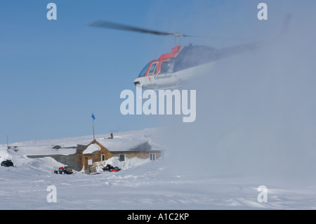 Elicottero di caduta off polar bear biologi sull isola Herschel off la Mackenzie delta del fiume Yukon Territory Canada Foto Stock