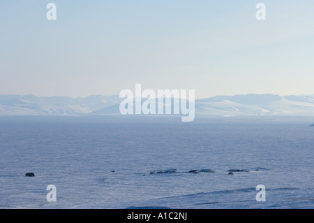 Città sull isola di Herschel off la Mackenzie delta del fiume Yukon Territory Canada Foto Stock