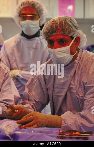 Dr Fayaz uno scialle cardiochirurgo manipola il catetere per angioplastica durante angioplastica a palloncino Foto Stock