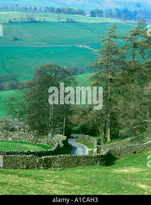 Vicolo del paese, swaledale, Yorkshire Dales National Park, North Yorkshire, Inghilterra, Regno Unito. Foto Stock