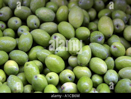 Albero di olivo (Olea europaea ssp. sativa), Olive Foto Stock