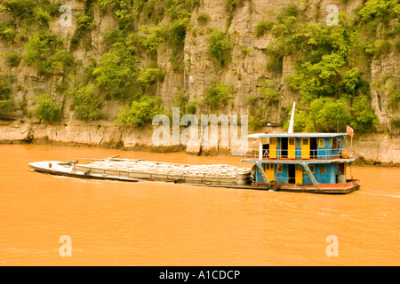 Molto carico nave da carico sul fiume Yangzi Foto Stock