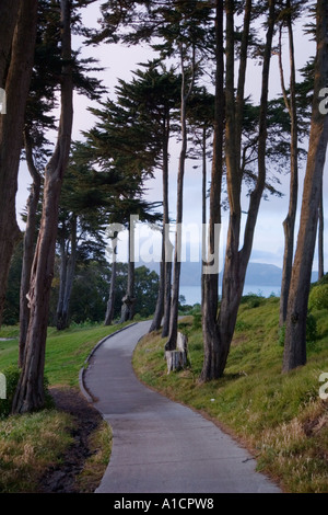 Carrello da golf avvolgimento percorso attraverso la foresta in Lincoln Park Municipal Golf Course, San Francisco, California, Stati Uniti d'America Foto Stock