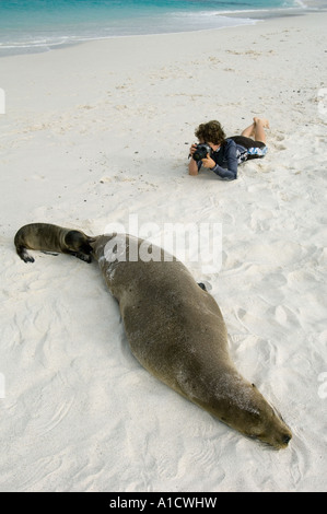 Giovani turisti fotografare le Galapagos Sea Lion madre e pup (Zalophus wollebaeki) Isole Galapagos, ECUADOR Foto Stock