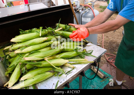 Fornitore maschio preparazione del mais per grigliare a una fiera in Connecticut USA. Foto Stock