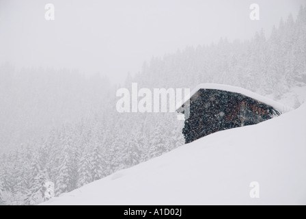 Collina di legno fienile in tempesta di neve nella piccola Svizzera di Mountain Village di Gimmelwald, Oberland bernese, Svizzera Foto Stock