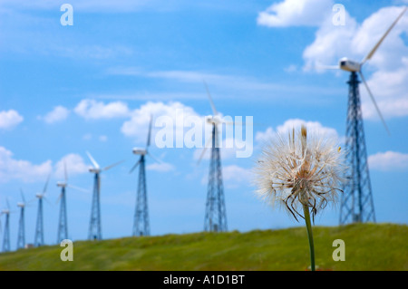 Energia del vento Foto Stock