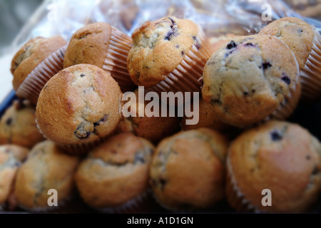 Muffin ai mirtilli Foto Stock
