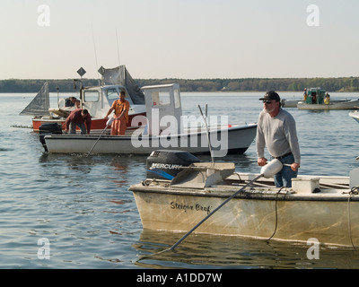 Quahoggers (shell pescatore) al lavoro su Narragaanseet bay Foto Stock