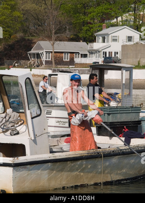 Quahoggers(shell pescatore) al lavoro su Narragaanseet bay Foto Stock