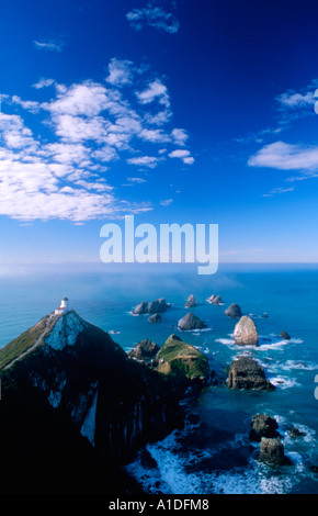 Nugget Point, Catlins Coast, a Southland, Nuova Zelanda Foto Stock