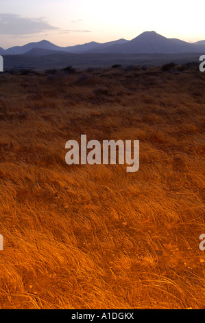 Parque Nacional de Los Volcanes Lanzarote isole Canarie Foto Stock