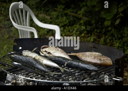 Due testa dorato orata e tre sgombro sul barbecue Foto Stock