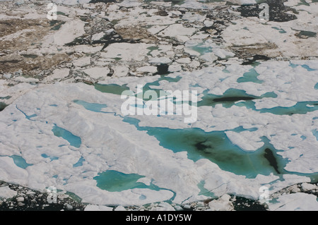 Aereo di padelle di acqua dolce a più strati durante la rottura primaverile nella costa artica del Mar Chukchi dell'Alaska Foto Stock