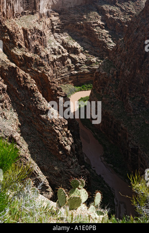 USA il Grand Canyon Little Colorado River visto dalla gola si affacciano Foto Stock