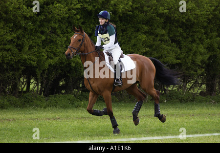Giovane donna corse Cleveland Bay cross purosangue bay horse nel cross country sezione a eventing concorrenza Regno Unito Foto Stock