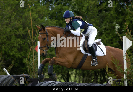 Giovane donna cavalca un dark bay cavallo in un concorso per la gestione degli eventi Regno Unito Foto Stock