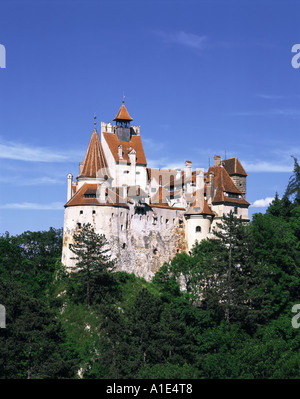 Castello di Bran in Romania Foto Stock