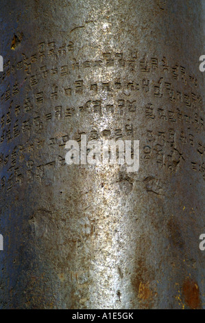 Dettaglio di iscrizione sul ferro inossidabile pilastro Gupta colonna in Qutb Minar New Delhi, India Foto Stock