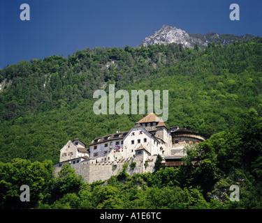 Il castello di Vaduz in Liechtenstein Foto Stock