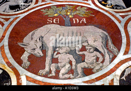 A mosaico del pavimento del Duomo di Siena che mostra Romolo e suo fratello gemello Remo beeing alimentazione mediante la lupa Siena Italia Foto Stock