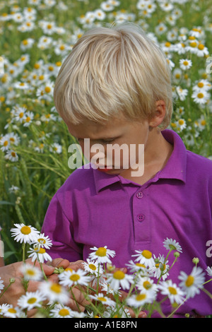 Ragazzo a caccia di fiori in un prato fiorito Foto Stock