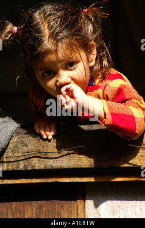 Ritratto di molto giovane indan ragazza bambino guardando dritto faccia con maglione rosso, sfondo nero Foto Stock