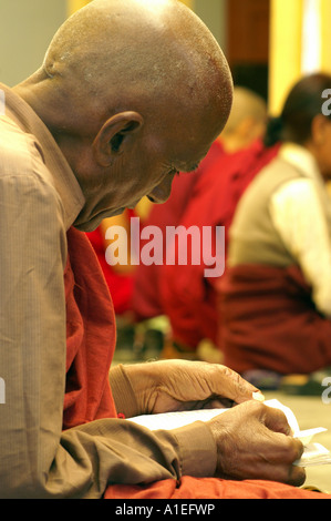 Il Tibetano monaco buddista di lettura libro santo in un monastero, il lato verticale Foto Stock