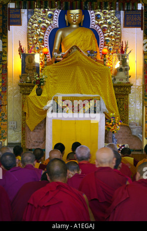 Buddha Sakyamuni statua e monaci seduti riuniti nel monastero Namgyal, McLeod Ganj Foto Stock