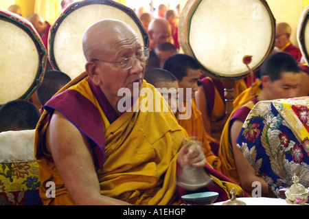 Alto rango sacerdote raccogliendo nel monastero Namgyal, tamburo sfondo, McLeod Ganj, durante la preghiera Foto Stock