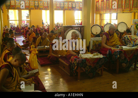 Alto rango sacerdote raccogliendo nel monastero Namgyal, tamburo sfondo, McLeod Ganj durante la preghiera Foto Stock