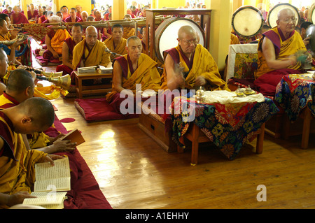 Alto rango sacerdote raccogliendo nel monastero Namgyal, tamburo sfondo, McLeod Ganj durante la preghiera Foto Stock