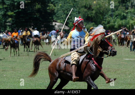 WEST SUMBA INDONESIA PASOLA GUERRA RITUALE Foto Stock