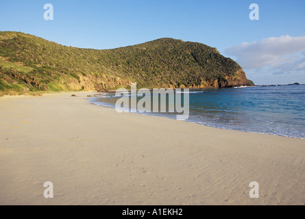 Ned s Beach L'Isola di Lord Howe NSW Australia Foto Stock