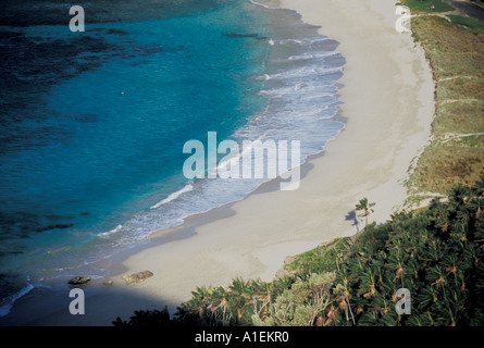 Ned s Beach L'Isola di Lord Howe NSW Australia Foto Stock