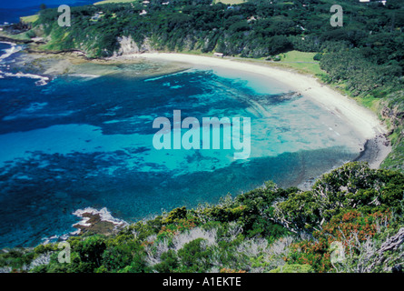 Ned s Beach L'Isola di Lord Howe NSW Australia Foto Stock