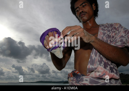 SUMBA OVEST DI INSCATOLAMENTO SUMBA Nusa Tengarra INDONESIA Foto Stock