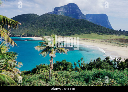 Blinky s Beach L'Isola di Lord Howe NSW Australia Foto Stock