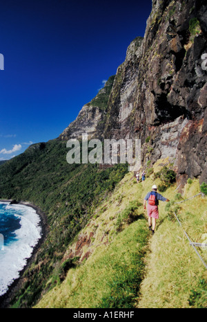 Montare Gower escursione guidata: Turisti escursioni a piedi lungo le scogliere verticali di Mt. Lidgbird, Isola di Lord Howe, NSW, Australia. Foto Stock