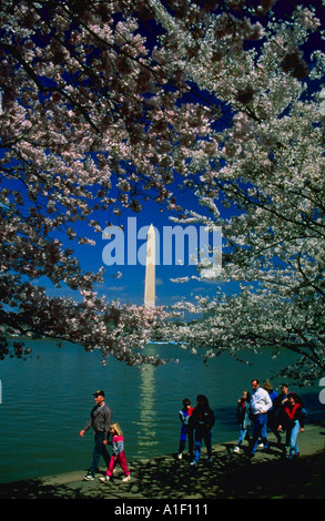 Il turista a godere di fiori di ciliegio presso il bacino di marea a Washington DC il Monumento di Washington è sul lato posteriore Foto Stock