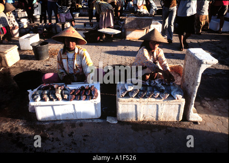 Giovani womaen la vendita del pesce in un villaggio mercato di Kuta Bali Indonesia Foto Stock