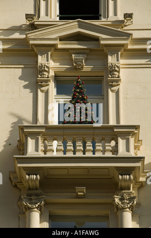 Un albero di Natale completamente decorato ha esposto un balcone Neo classico in via Vittorio Veneto Roma Italia Foto Stock