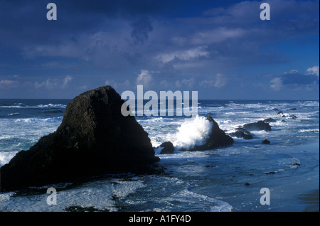 Onde sulla costa vicino Seal Rock Oregon Foto Stock