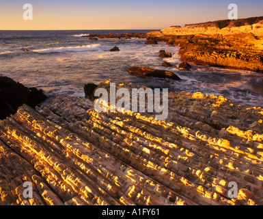 Inclinato letti di arenaria a Montana de Oro stato Parco California Foto Stock