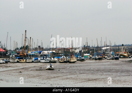 Barche a vela spiaggiata nel fango con la bassa marea Maldon Inghilterra Foto Stock